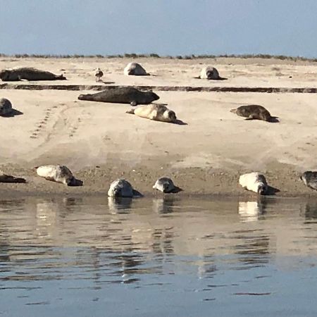 Trekvogels Hoern Dornum Eksteriør billede