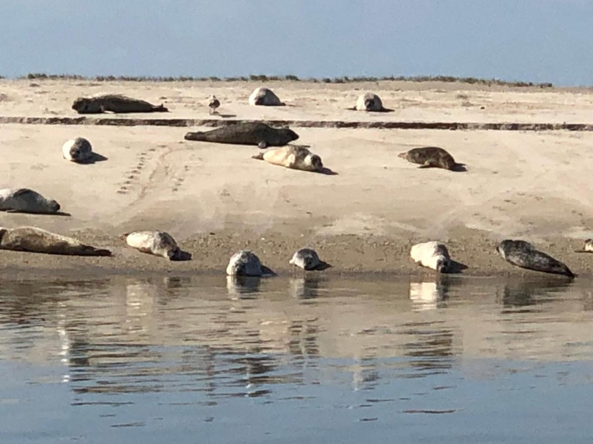 Trekvogels Hoern Dornum Eksteriør billede