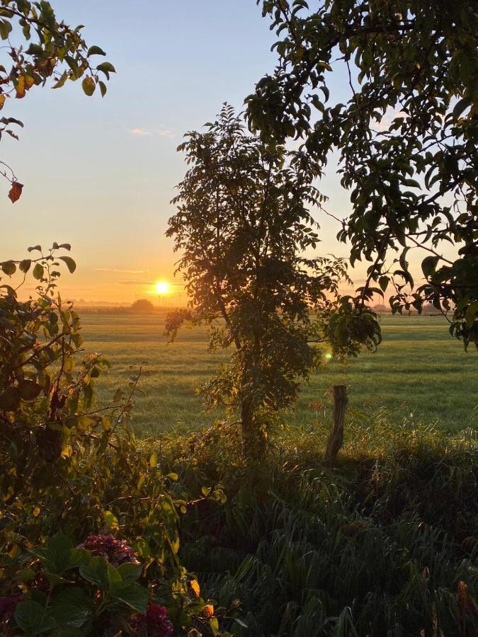 Trekvogels Hoern Dornum Eksteriør billede